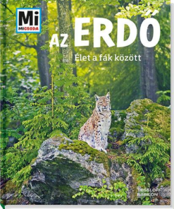 Az erdő - Élet a fák között