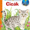 Cicák