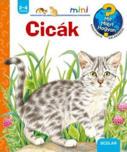 Cicák
