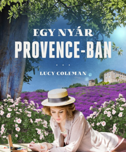 Egy nyár Provence-ban