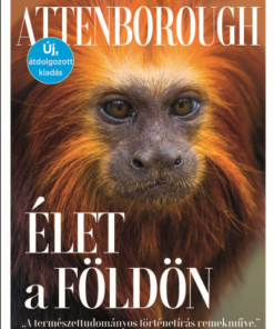 Élet a Földön