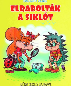 Elrabolták a siklót