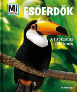 Esőerdők - A titokzatos zöld kincs - Mi micsoda