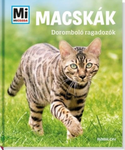 Macskák- doromboló ragadozók