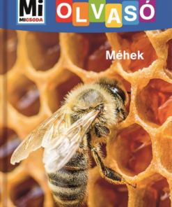 Méhek - Mi Micsoda Olvasó