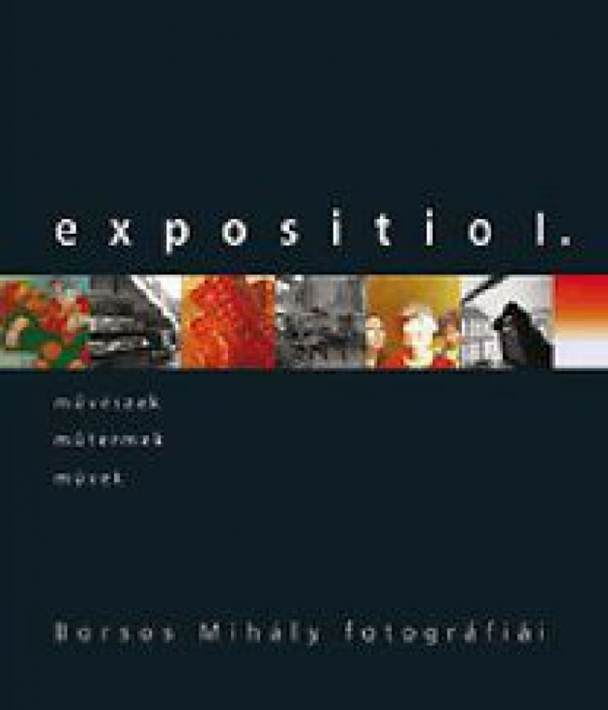 Expositio 1. - Borsos Mihály fotográfiái - Image 2