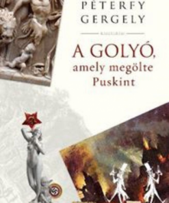 Alternative view of A golyó, amely megölte Puskint