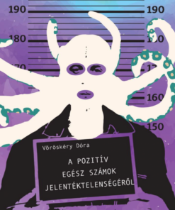 A pozitív egész számok jelentéktelenségéről - Image 2