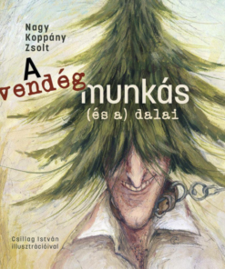 A vendégmunkás (és a) dalai - Image 2