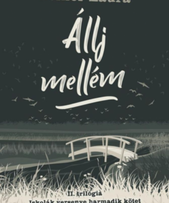 Állj mellém - Image 2