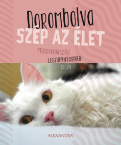 Dorombolva szép az élet - Magyarország legaranyosabb cicái - Image 2