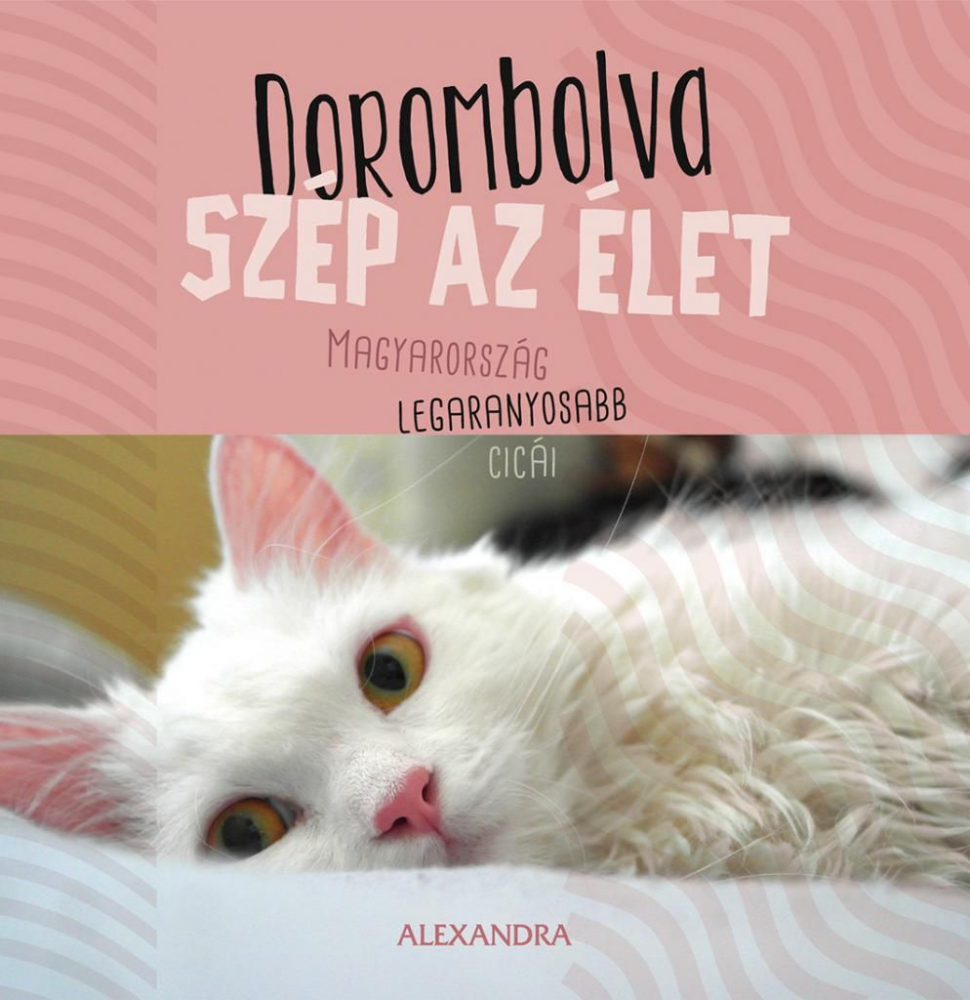 Dorombolva szép az élet - Magyarország legaranyosabb cicái - Image 2
