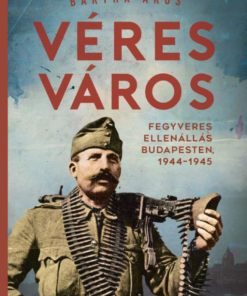 Alternative view of Véres város