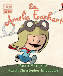 Alternative view of Én, Amelia Earhart