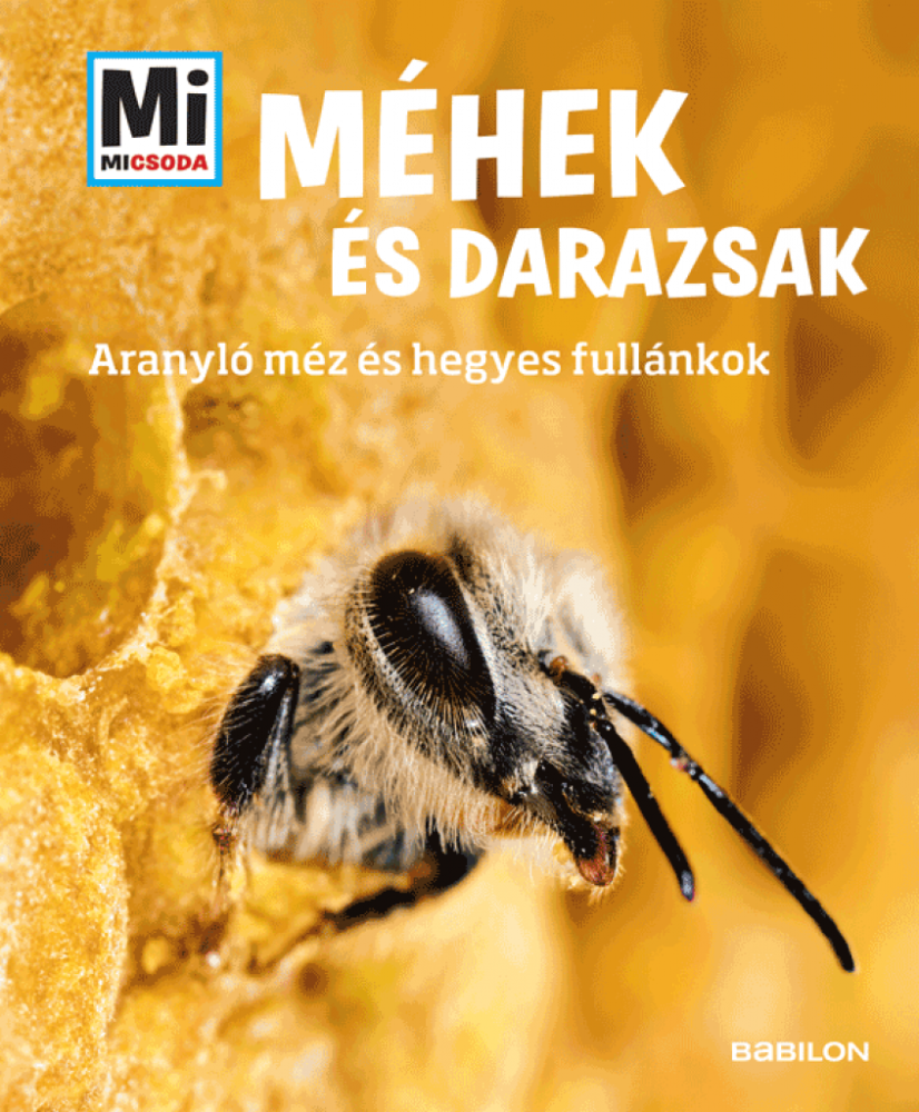 Méhek és darazsak – Mi MICSODA - Image 2