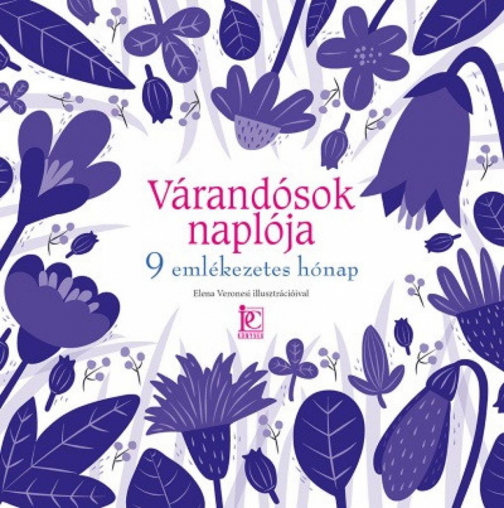 Várandósok naplója - 9 emlékezetes hónap - Image 2
