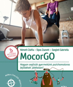 Alternative view of MocorGo
