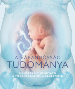 A várandósság tudománya - Image 2