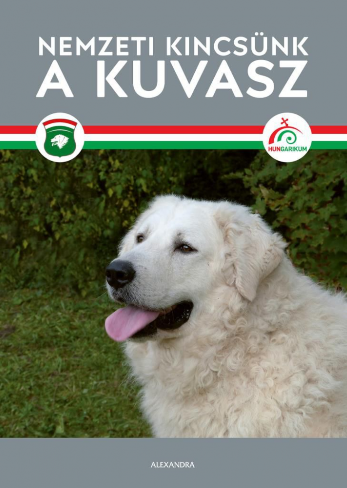 Nemzeti kincsünk a kuvasz - Image 2