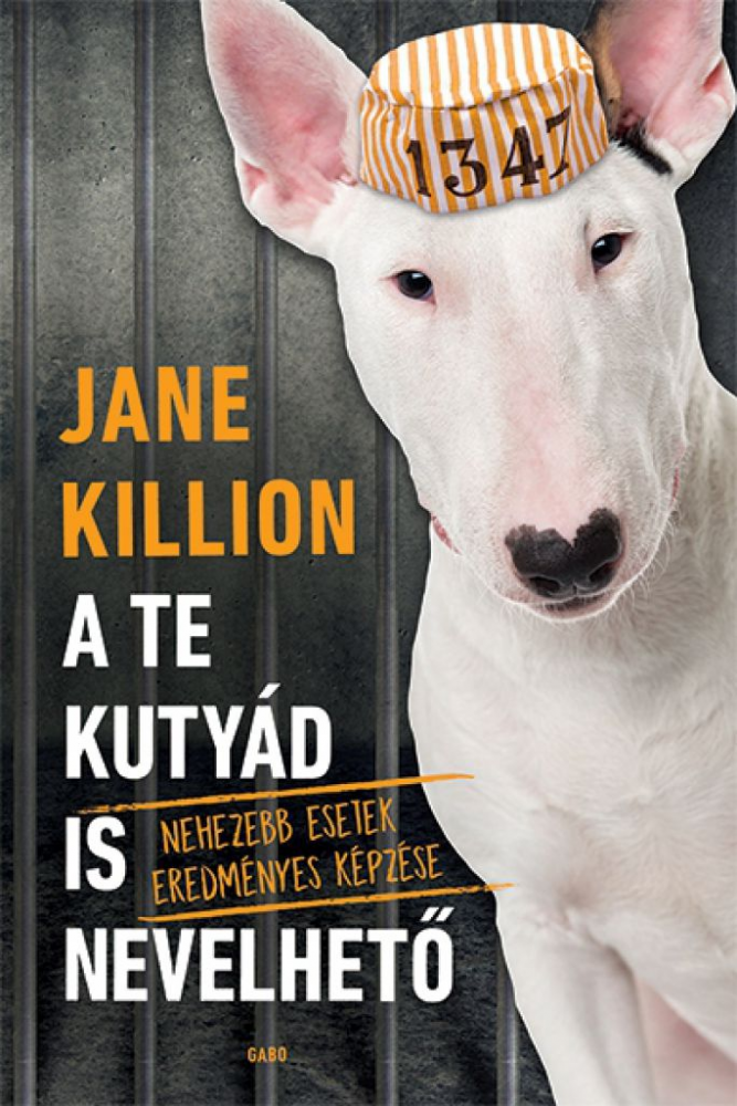 A te kutyád is nevelhető - Image 2
