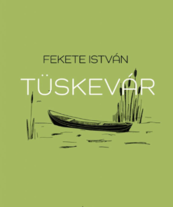 Alternative view of Tüskevár