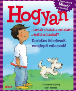 Hogyan… látnak a halak a víz alatt? …építik a hidakat? - Image 2