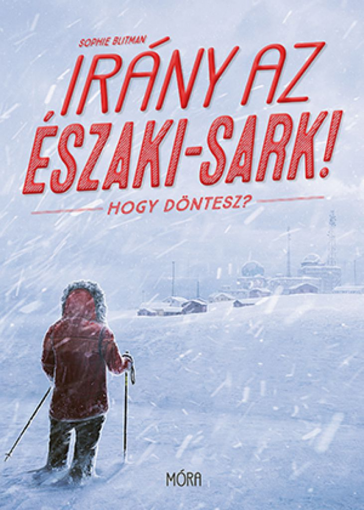 Irány az Északi-sark! Hogy döntesz? - Image 2