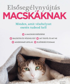 Elsősegélynyújtás macskáknak - Image 2