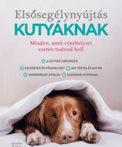Elsősegélynyújtás kutyáknak - Image 2