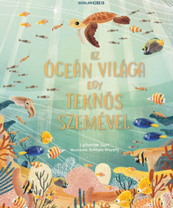 Az óceán világa egy teknős szemével - Image 2