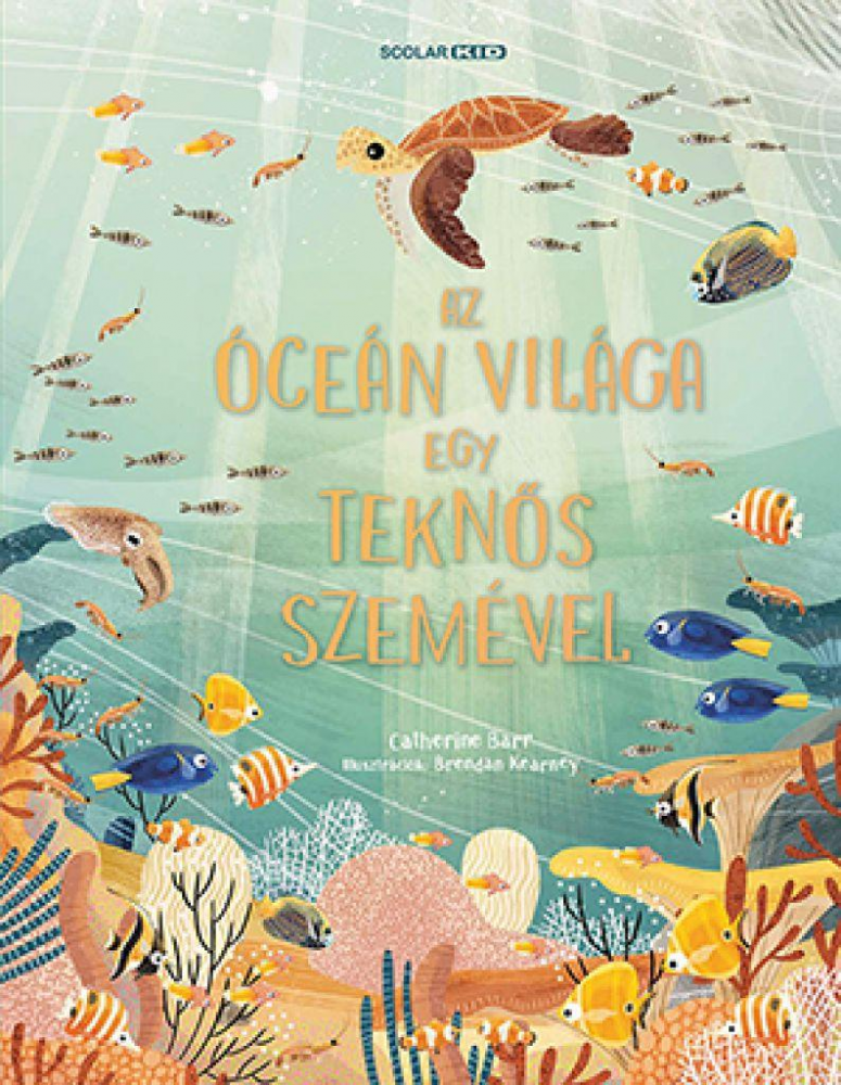 Az óceán világa egy teknős szemével - Image 2