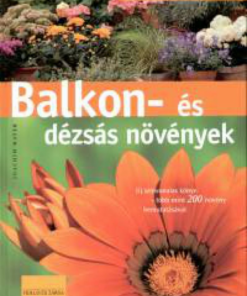 Balkon- és dézsás növények - Image 2