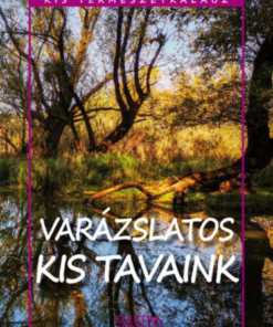 Kis természetkalauz - Varázslatos kis tavaink - Image 2