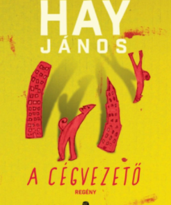 A cégvezető - Image 2