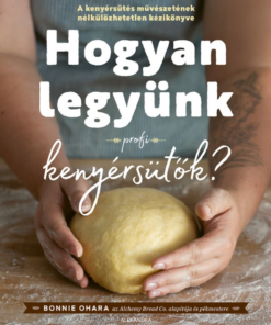 Alternative view of Hogyan legyünk profi kenyérsütők