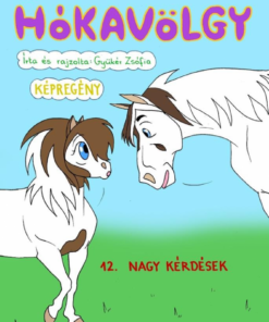Alternative view of Hókavölgy 12. - Nagy kérdések