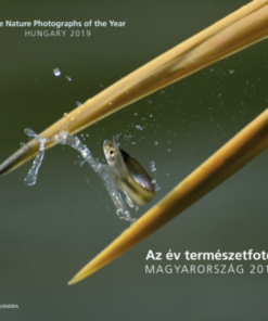 Az év természetfotói - Magyarország 2019 - The Nature Photographs of the Year - Hungary 2019 - Image 2
