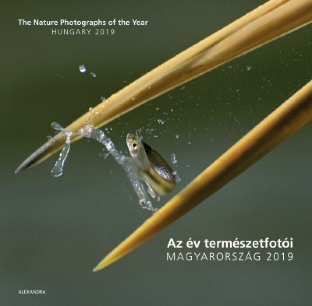Az év természetfotói - Magyarország 2019 - The Nature Photographs of the Year - Hungary 2019 - Image 2