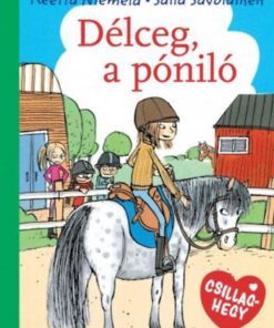 Alternative view of Délceg, a póniló