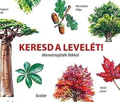 Keresd a levelét! - Memóriajáték fákkal - Image 2