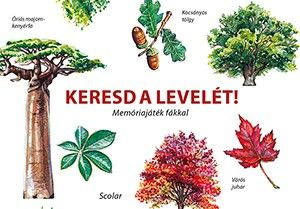 Keresd a levelét! - Memóriajáték fákkal - Image 2