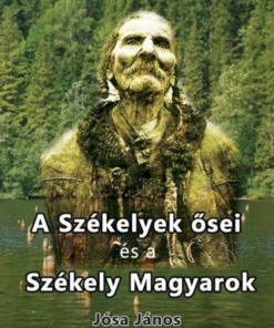 A székelyek ősei és a székely magyarok - Image 2