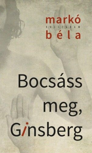Bocsáss meg, Ginsberg - Image 2