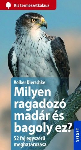 Milyen ragadozó madár és bagoly ez? - Image 2