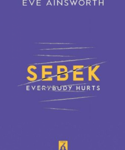 Alternative view of Sebek