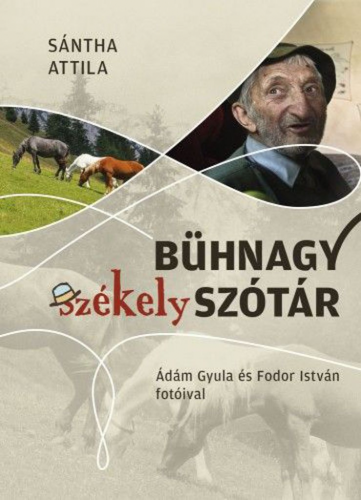 Bühnagy székely szótár - Image 2