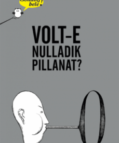 Alternative view of Gondolj bele! Volt-e nulladik pillanat?