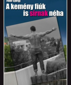 Alternative view of A kemény fiúk is sírnak néha