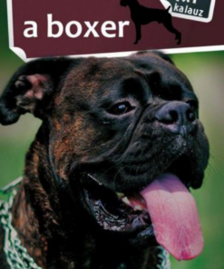 A boxer - Image 2
