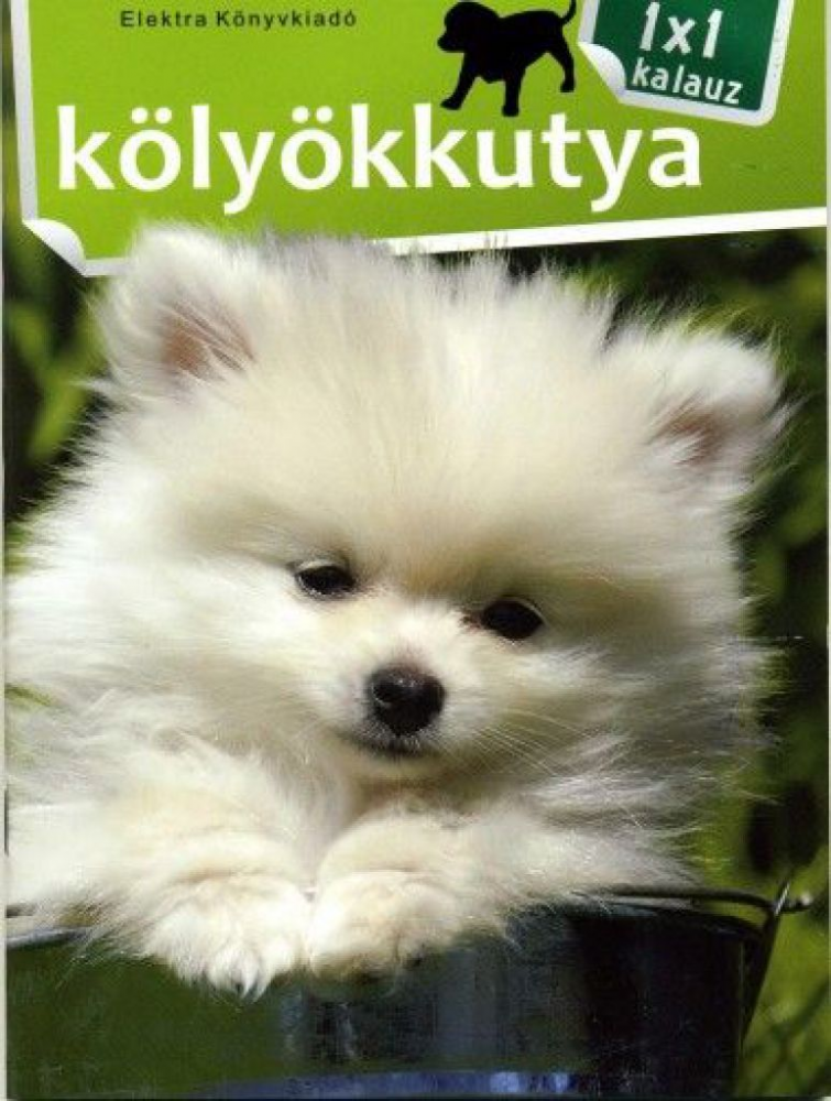 1x1 Kölyökkutya - Image 2